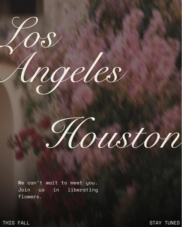 Events carousel slide 7: Los Angeles and Houston, this fall